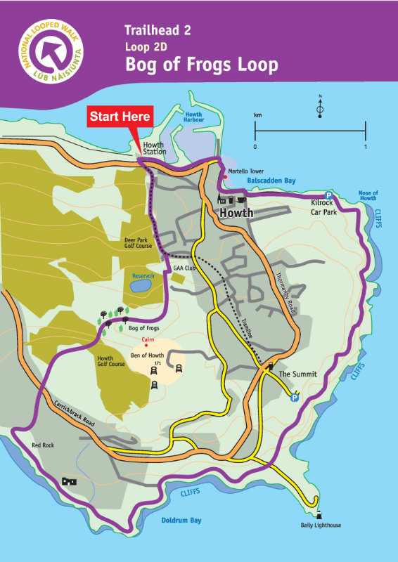 bog-of-frog-page.howthpurple_0818