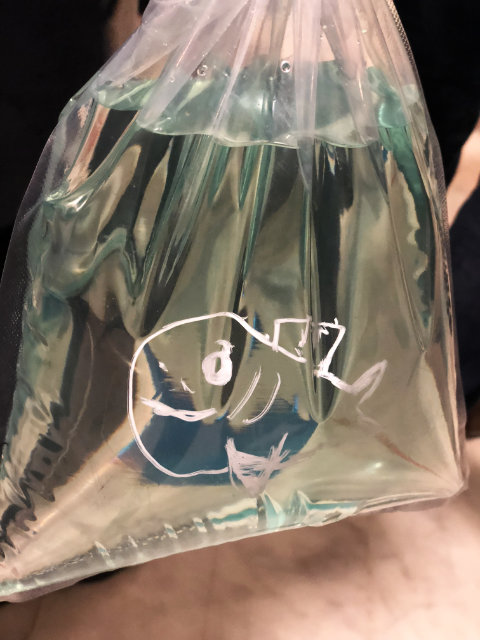 Shark drawn on bag